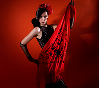 Flamenco dansen Medemblik